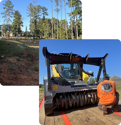 Veteran-Led Tree Service and Land Management in Columbus