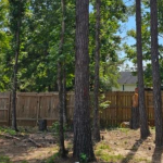 save your trees