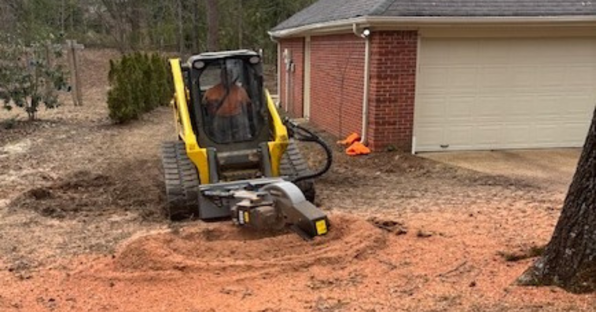 stump grinding
